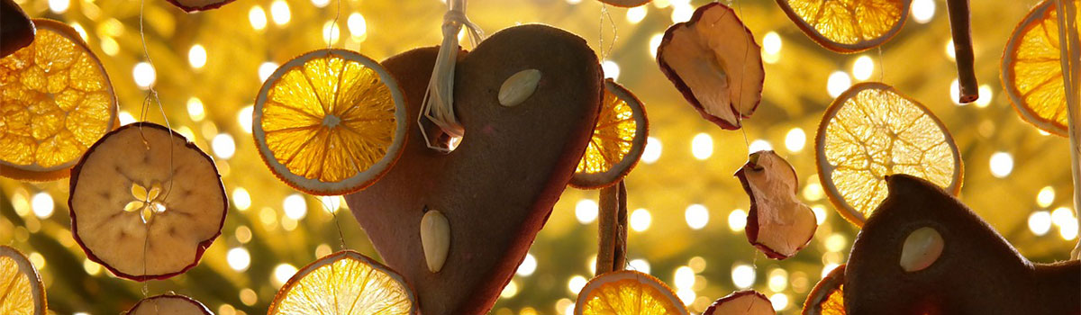 Newsletter – November KINESIOLOGIE